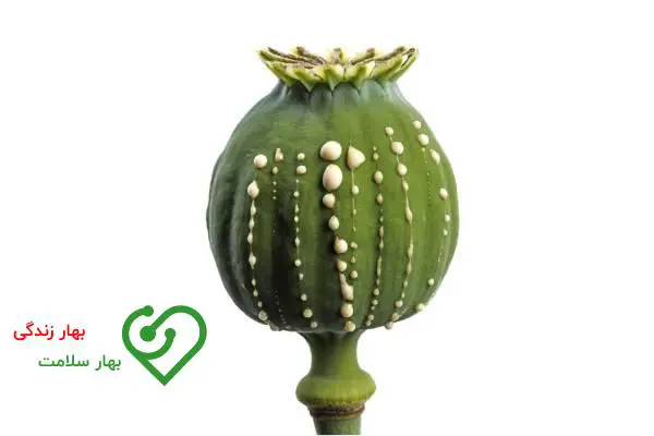 آیا تریاک برای دیابت خوب است؟