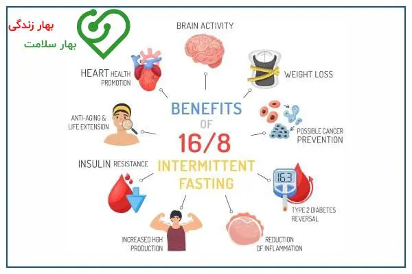 بهترین روش برای شروع رژیم فستینگ 16 8 چیست؟     بهترین روش برای شروع رژیم فستینگ 16 8 چیست؟