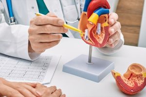 افتادگی دریچه میترال قلب چیست و چه علائمی دارد؟