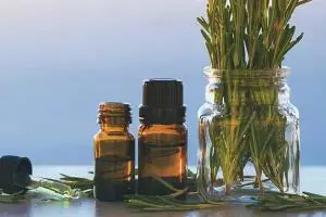 درمان واریس در طب سنتی