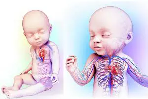 اکو قلب کودکان تهران